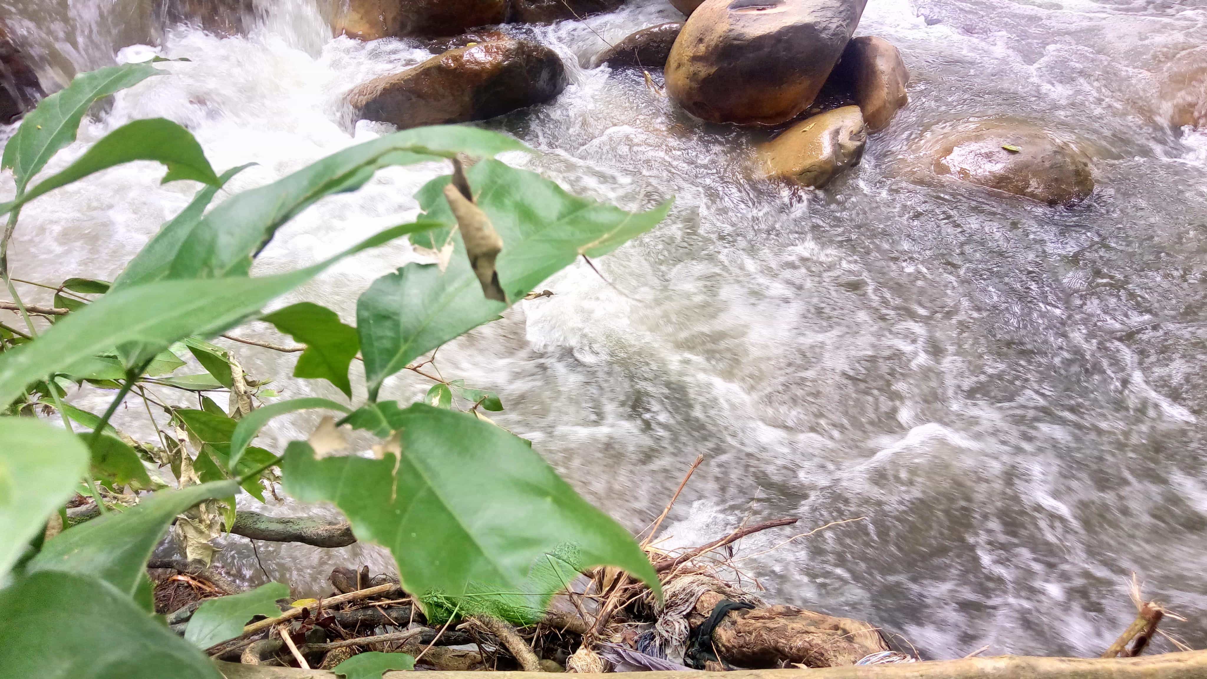 Fotografia brisas condominio